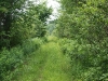 Beginning of Truck Trail